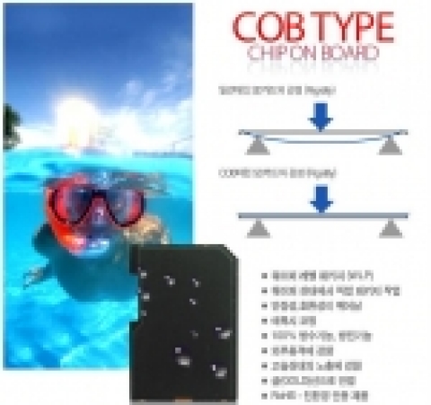 그리고, 프리미엄급 SD카드 ‘라온플래시 샴(Siam)’ 출시