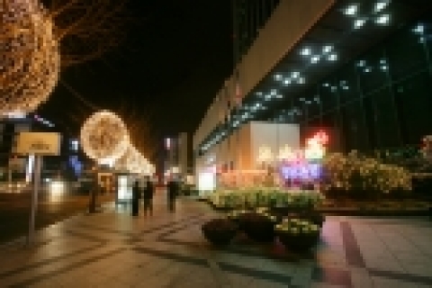 경남은행은 본점 건물과 주변 가로수에 15만개의 은하수 전구를 장식하여 연말연시 분위기를 돋우고 있다.