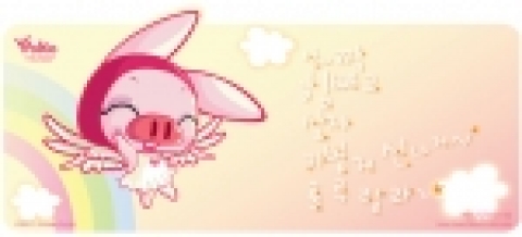 캐릭터가수 포코 이미지