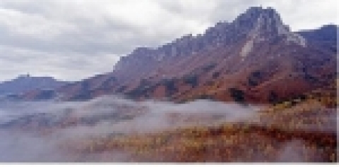 ◇ 자연경관 분야 ▶ 우 수 상 - 울산암과 낙엽송과 운해(김영탁, 설악산국립공원)