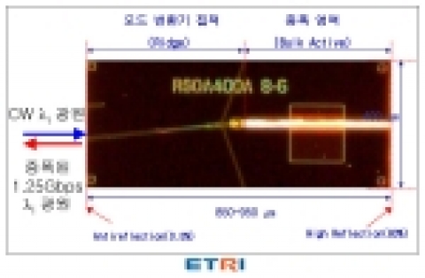 ETRI에서 자체 개발된 WDM-PON용 RSOA 칩의 현미경 확대 사진, 실제 크기는 약 1mm x 0.4mm
