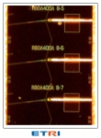 RSOA 칩 3개가 나란히 배열된 웨이퍼 상에서의 현미경 확대 사진, 실제 크기는 약 1mmx 1.4mm
