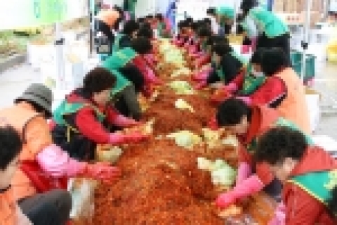 강농농협에서 김장김치를 담그는 모습