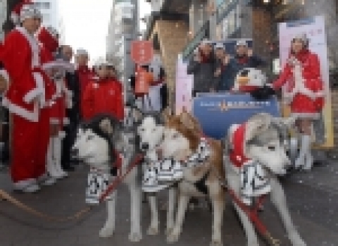 파리바게뜨에서 오늘(14일) 오전 명동에서 크리스마스 맞이 이색 퍼포먼스를 실시하였다.