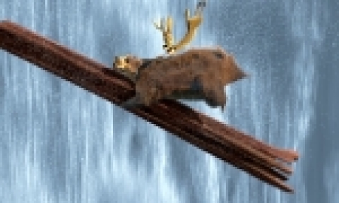 ‘부그와 엘리엇’ 실사 재현 뛰어넘는 애니메이션 한계에 도전