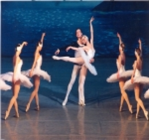 포스코가 오는 20일, 21일 이틀동안 효자아트홀에서 키예프 국립 쉐브첸코 발레단을 초청해 전 세계인이 가장 사랑하는 명작발레 “백조의 호수”를 무대에 올린다.