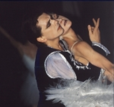 포스코가 오는 20일, 21일 이틀동안 효자아트홀에서 키예프 국립 쉐브첸코 발레단을 초청해 전 세계인이 가장 사랑하는 명작발레 “백조의 호수”를 무대에 올린다.