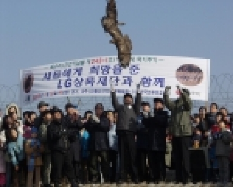 먹이부족으로 탈진한 독수리 치료 후 방사