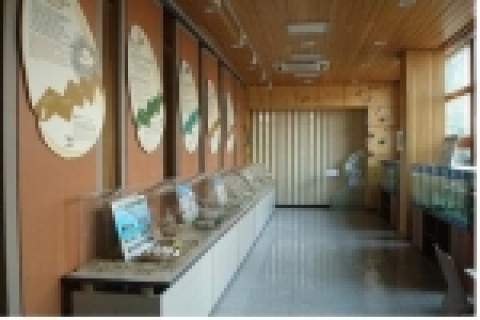 길동생태문화센터 겨울방학 특별기획전 2007년 2월28일까지 열어