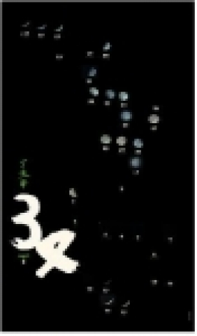 5월  문승영 정찬일