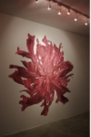 곽윤주, Untitled_01, 잉크젯 프린트, 설치전경, 2006