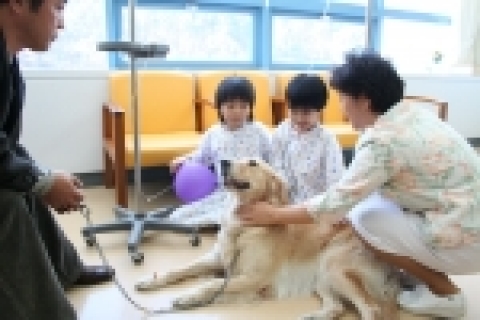 발달장애 아동의 재활치료견 &#039;찬비&#039;가 어린이들과 즐거워하고있다