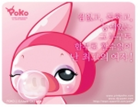 캐릭터가수 포코 이미지