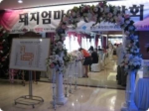 돼지엄마 웨딩페어 행사장 입구 모습