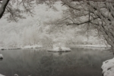 눈내리는 날의 장성 백양사 연못