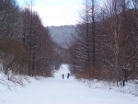 눈쌓인 인제 조침령 초입