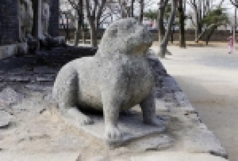 분황사 돌사자(복원후)