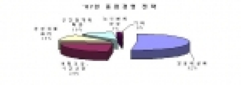 2007년 중점 경영전략