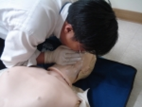 심폐소생술 교육 중인 메드트로닉코리아(주) 직원