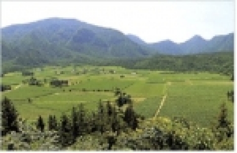 울릉군 북면 나리마을 전경
