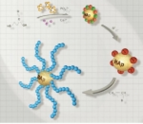 연구팀의 기능성 고분자로 표면개질된 하이드록시아파타이트 나노입자 제조를 위한 신합성기술 그래픽. 표면반응성이 있는 세라믹 나노입자를 제조하고 다양한 기능성 고분자를 도입할 수 있으