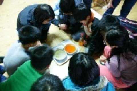 청소년 건강학교 참가자들이 청량음료에 금붕어를 담가 실험하고 있다.