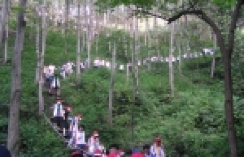 SK그룹 신입사원들의 특수산림사업지구 가래나무 숲 탐방 장면 