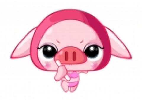 캐릭터가수 포코 이미지