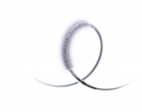 엔데버 약물방출스텐트