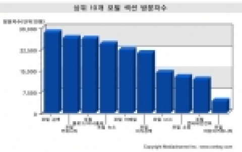 주요 포털 서비스의 이용패턴과 상관관계