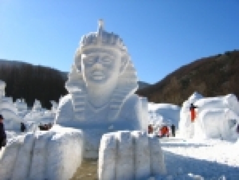 대관령 눈꽃축제
