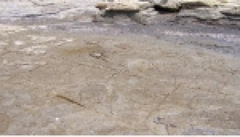 하동 중평리 장구섬 화석산지 (공룡발자국 화석)