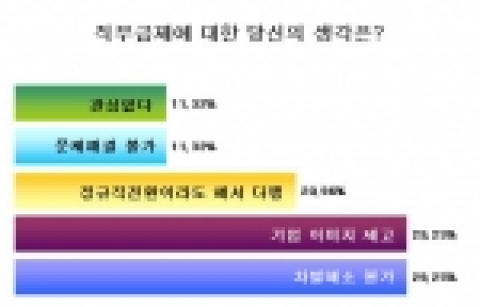 직무급제, 겉 다르고 속 다른 정규직