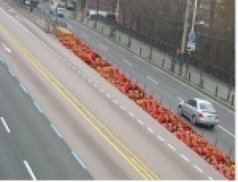 정류장 개선 후