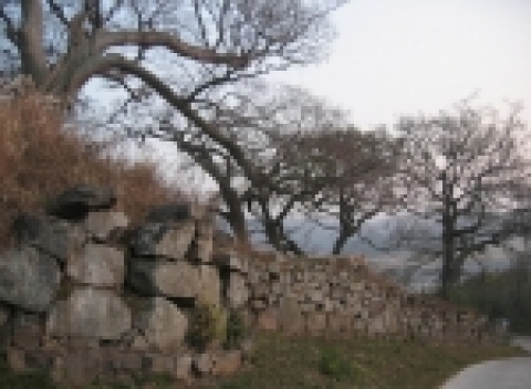 법성진성과 진성 위의 숲쟁이