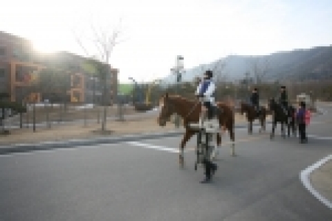 지난 1월 22회 승마지도과정 모습 : 수련원내에서 평보 연습중