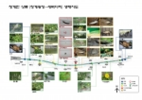 상류의 생태지도