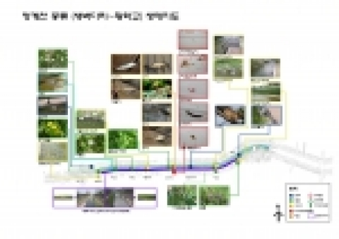 중류의 생태종합지도