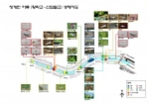 하류1의 생태종합지도