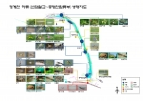 하류2의 생태종합지도
