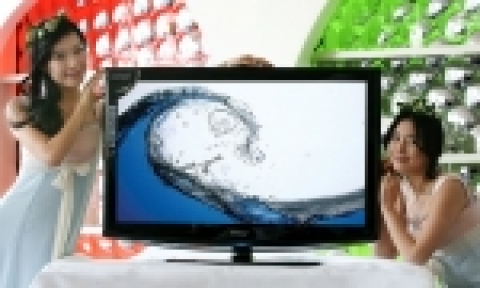 와인잔 모양을 감각적으로 형상화한 디자인의 '보르도' LCD TV로 단기간 '밀리언셀러'란 대기록을 세운 삼성전자가 이번에 32인치, 40인치「2007년형 보르도 TV」(모델명: LN32/40R81BD)를 출시해 올해에도 세계 TV 시장 석권을 위한 대장정에 나섰다.
