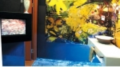 광주시, 2007 전국체전대비 문화시민운동 전개의 일환 ‘예술화장실’ 단장