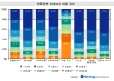 언론사 관련 사이트 방문자의 약 60%가 3페이지 이하를 이용하는 것으로 나타났다.