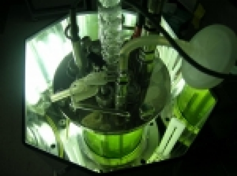 평판형 및 원통형 광반응기 (해마토코쿠스 배양)