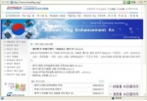 홈페이지에 게시된 태극기 사례