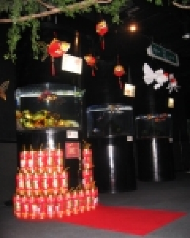 부산아쿠아리움은 정월대보름을 맞아 재운과 건강을 기원하는 대형 금붕어, 점보오란다를 전시한다.  길이 30cm에, 수명이 일반 금붕어의 약 5배인 15년 정도로 장수하는 점보오란다