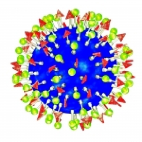 분자표면 변형 관련 이미지. 쿠커비투릴로 만든 나노캡슐은 자유자재로 구멍에 특정분자를 끼워 표면을 변형시킬 수 있어 특정 세포나 장기 내부로 효율적인 약물 전달이 가능해진다.