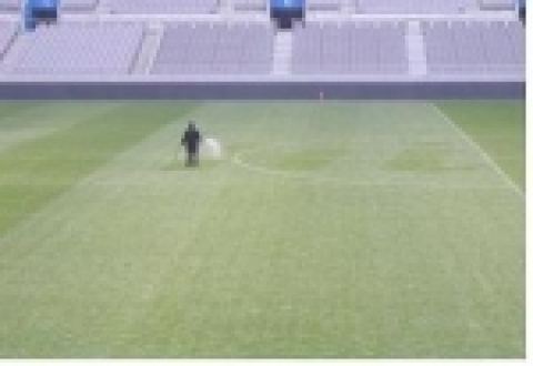 잔디 관리 장면