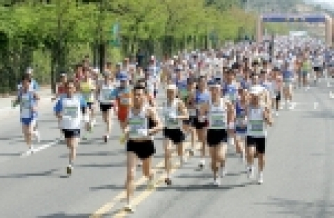 지난해 대회 장면