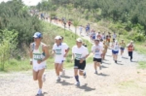 지난해 대회 장면